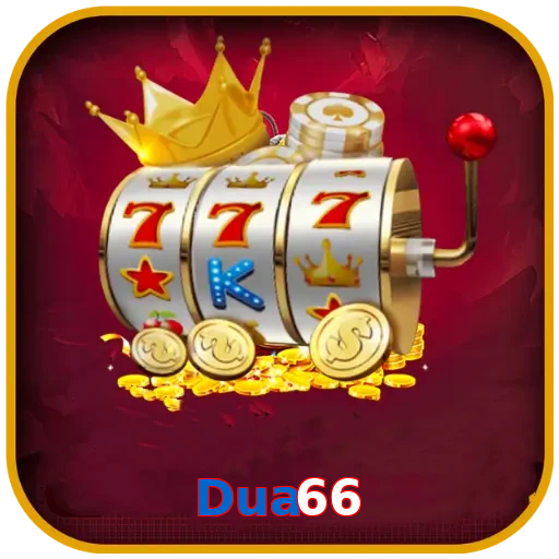 Dua66